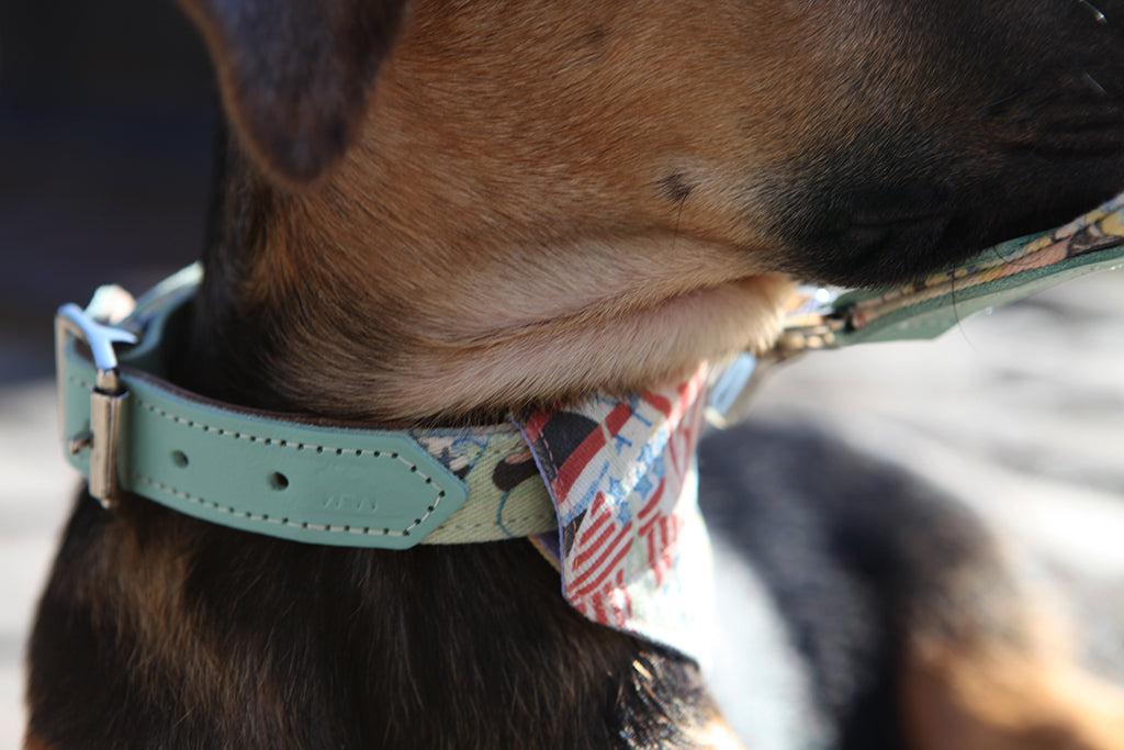 New York! New York! Dog Collar-Dog Collar-Hiro + Wolf