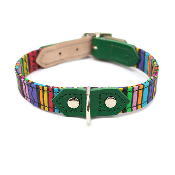 Rainbow Stripe Dog Collar