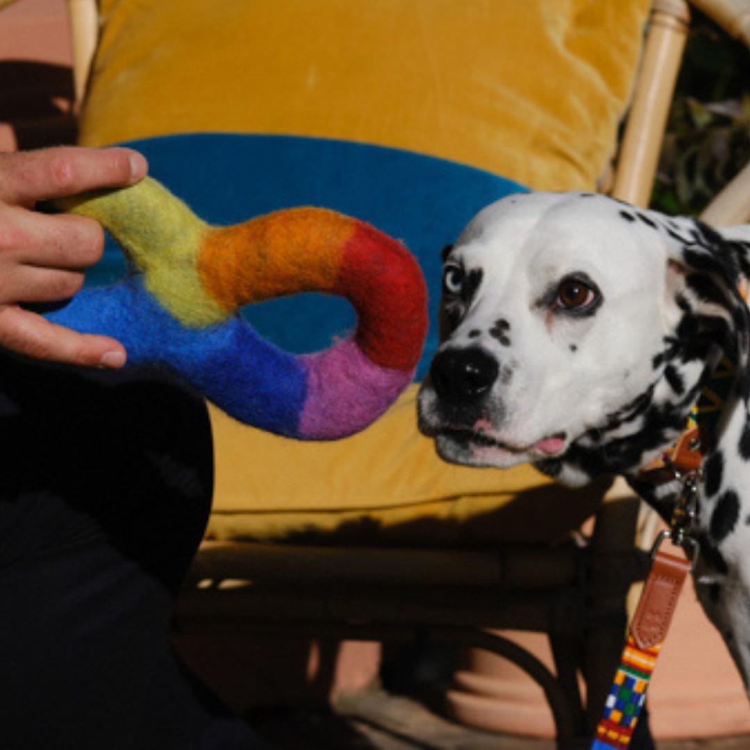 Rainbow Tug Dog Toy-Hiro + Wolf