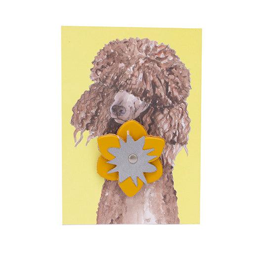 Reflective Flower 'Yellow Leather'-Reflective Flower-Hiro + Wolf