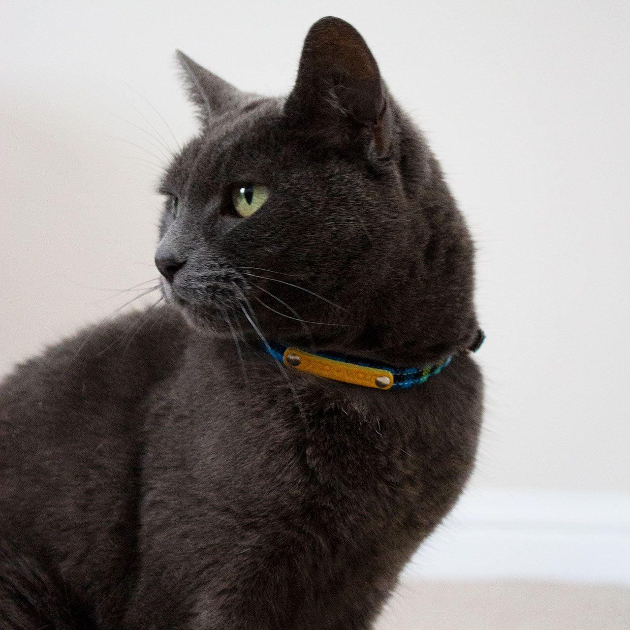 Shuka Blue Cat Collar-Cat Collar-Hiro + Wolf