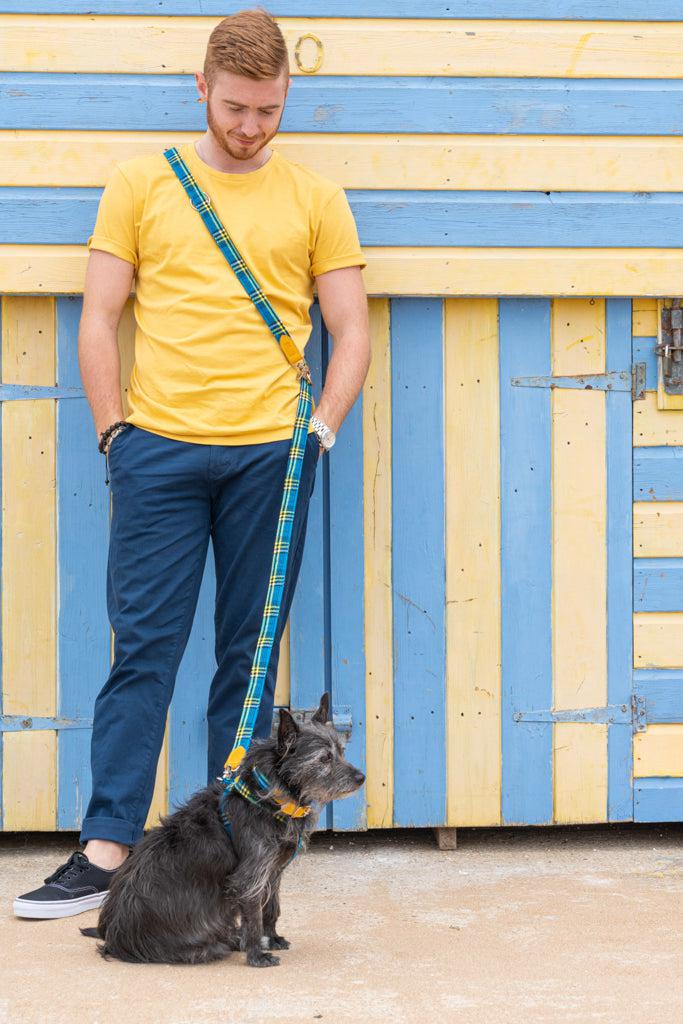 Shuka Blue Dog Collar-Dog Collar-Hiro + Wolf