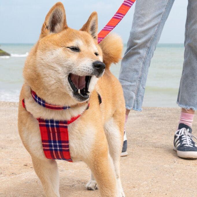 Shuka Red Dog Harness-Dog Harness-Hiro + Wolf