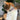 Starry Night Breakaway Cat Collar-Cat Vegan Collar-Hiro + Wolf