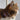 Starry Night Cat Bandana-Cat Collar Bandana-Hiro + Wolf