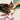 Wizard of Dog Cat Bandana-Cat Collar Bandana-Hiro + Wolf